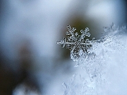 Beugen Sie Frostschäden frühzeitig vor, sonst kann es teuer werden. Bild: Free Photo auf Pixabay Beugen Sie Frostschäden frühzeitig vor, sonst kann es teuer werden. Bild: Free Photo auf Pixabay